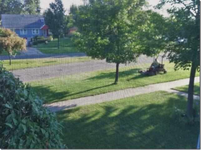 photo(2)