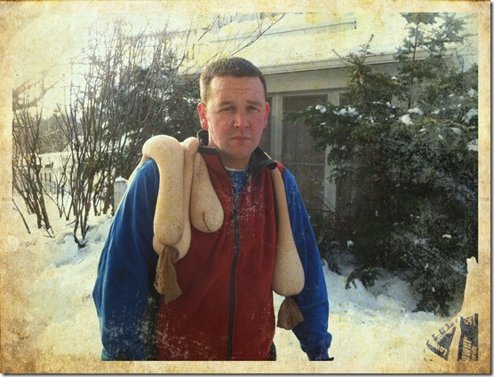 ice dams 2010