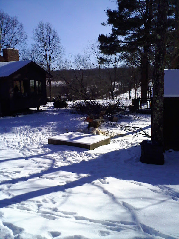 0104091206a.jpg