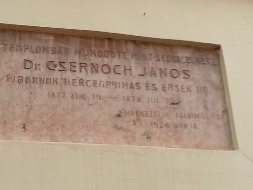 Dr. Csernoch János