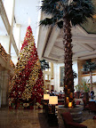 Palm Tree versus Christmas Tree