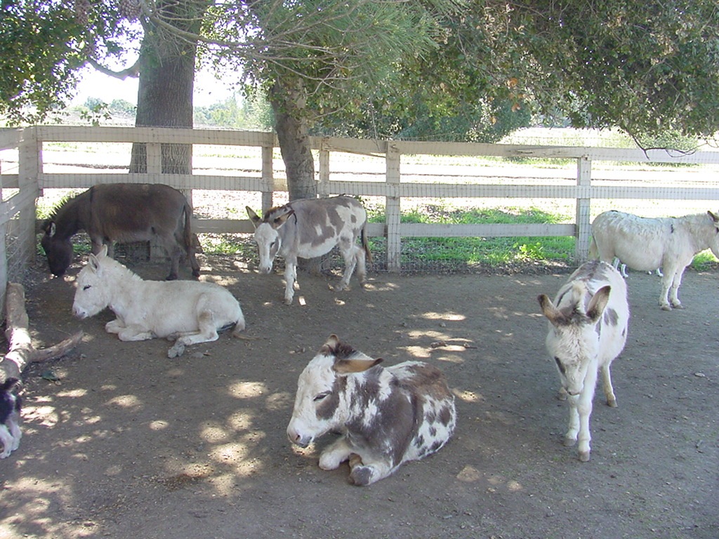 [DSC026534.jpg]