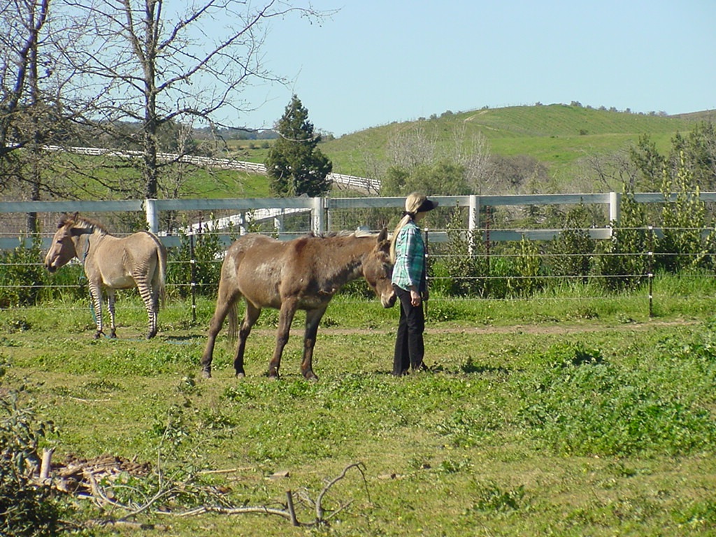 [DSC026474.jpg]