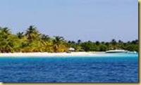 morrocoy