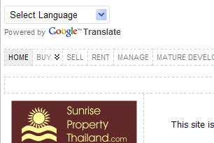 Google Translate Screenshot
