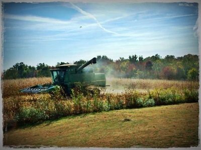 0 harvest 2 sm