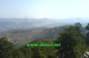 Derei�i Yaylas�nda Orman Dikimine ���i Aran�yor