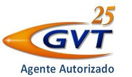 GVT GVT