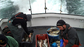 cutting cod.jpg