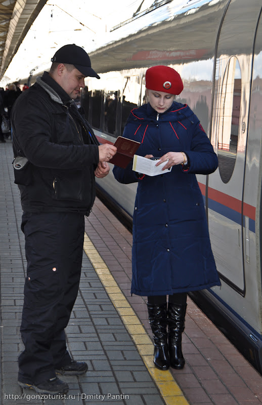 Сапсан железнодорожная птица 20090323 DSC 0176 Сапсан железнодорожная птица