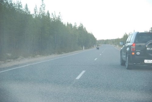  В диких условиях: рыбалка в тундре