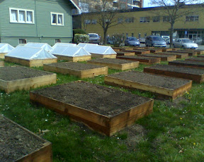 Corvallis yard planters Corvallis yard planters