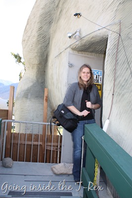 [DPP_0001914410.jpg]