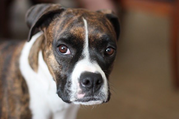 [DPP_00018784[2].jpg]