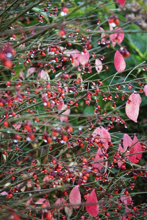 [DPP_00012317[6].jpg]