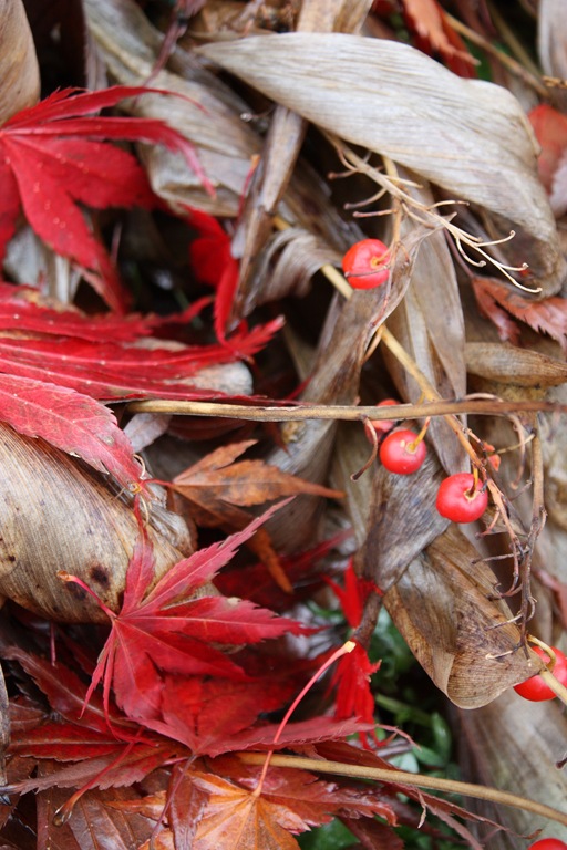 [DPP_00012404[1].jpg]