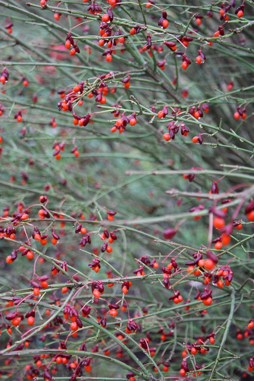 [DPP_00012382[1].jpg]