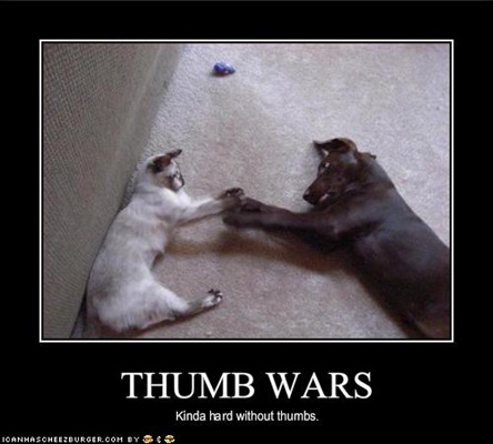 [funny-pictures-cat-and-dog-have-thumb-wars-with-difficulty[1].jpg]
