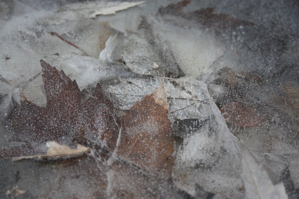 [DPP_00012362[7].jpg]