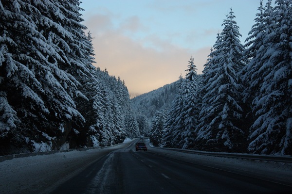 [DPP_00012351[22].jpg]