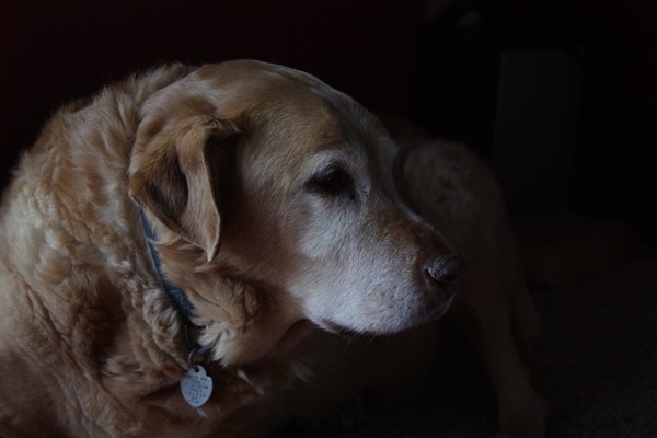 [DPP_00012366[14].jpg]