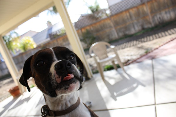 [DPP_00012396[5].jpg]