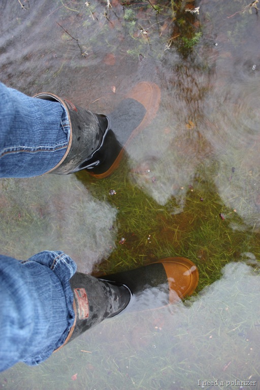 [DPP_00012506[1].jpg]