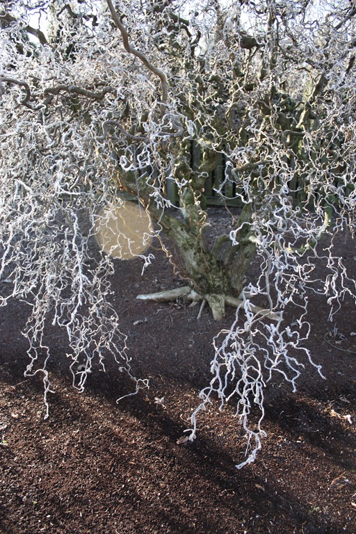 [DPP_00012614[7].jpg]