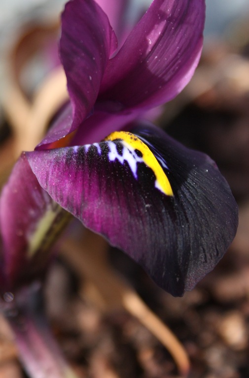 [DPP_00012780[7].jpg]