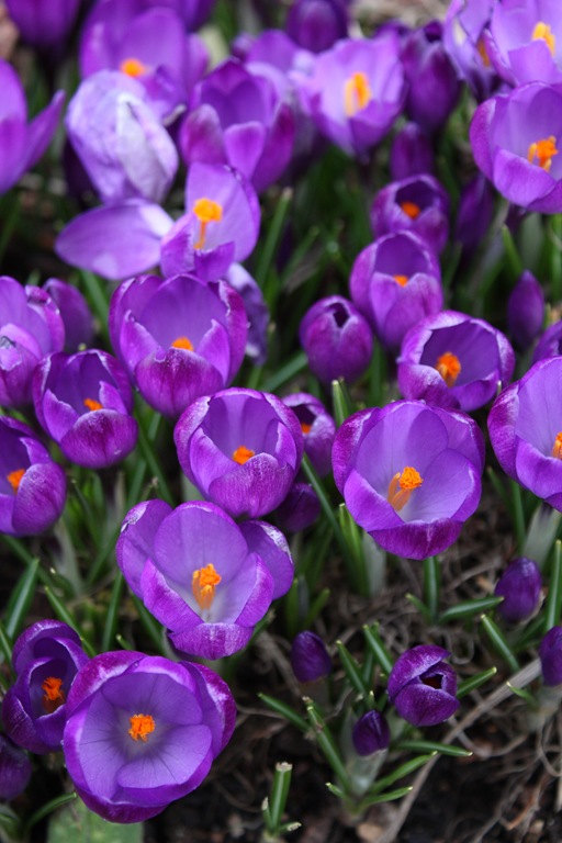 [DPP_00012812[6].jpg]