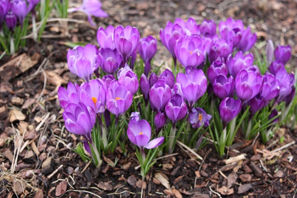 [DPP_00012803[1].jpg]