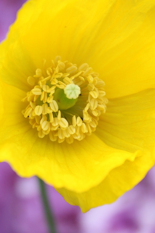 [DPP_00013550[27].jpg]