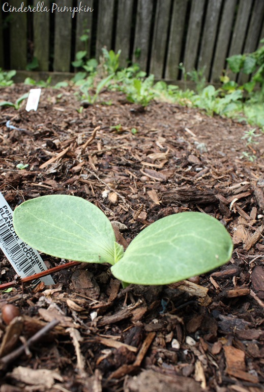 [DPP_0001407117.jpg]