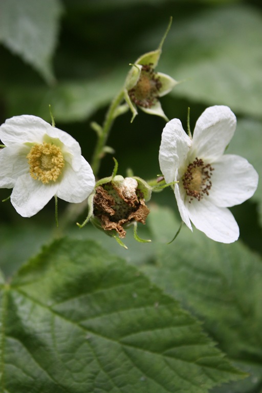 [DPP_00014310[6].jpg]