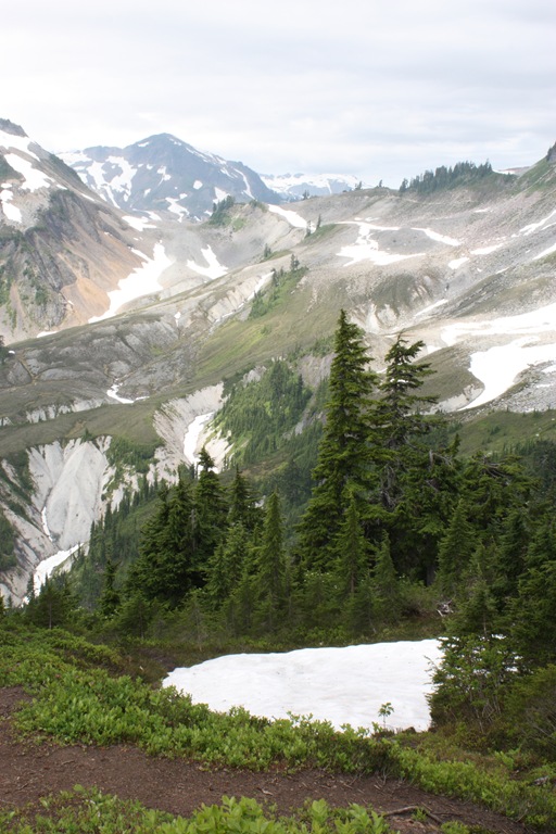 [DPP_00014760[3].jpg]