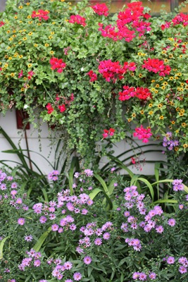 [DPP_00016399[14].jpg]