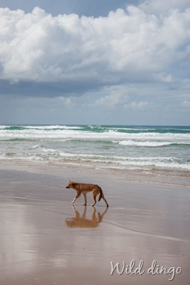 [20100511-IMG_8689-2[8].jpg]