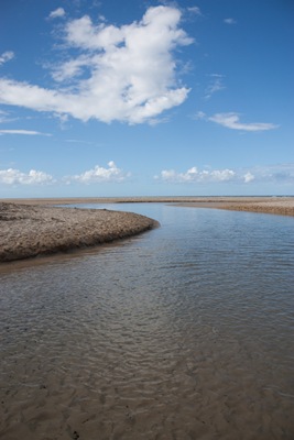 [20100511-IMG_8867[3].jpg]