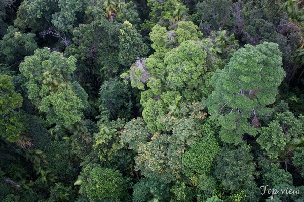 [20100514-IMG_9667[7].jpg]