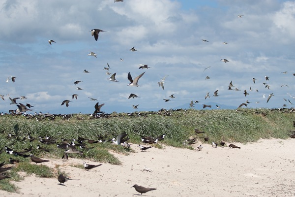 [20100515-IMG_9876[2].jpg]