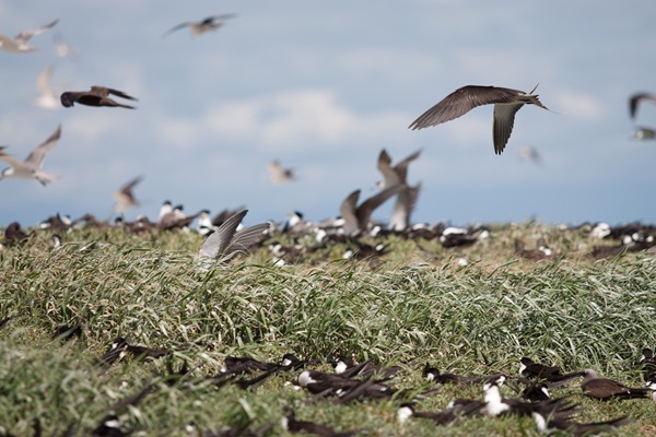 [20100515-IMG_9879[2].jpg]