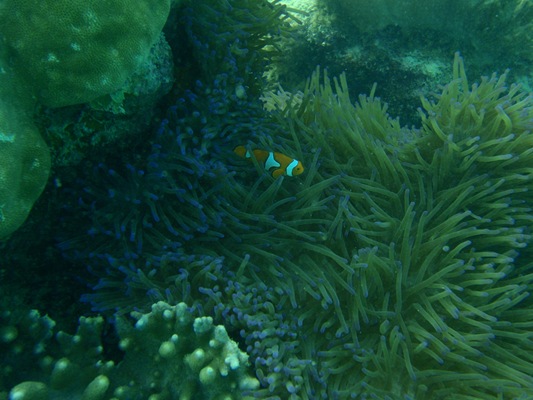 [20100515--F 044[2].jpg]