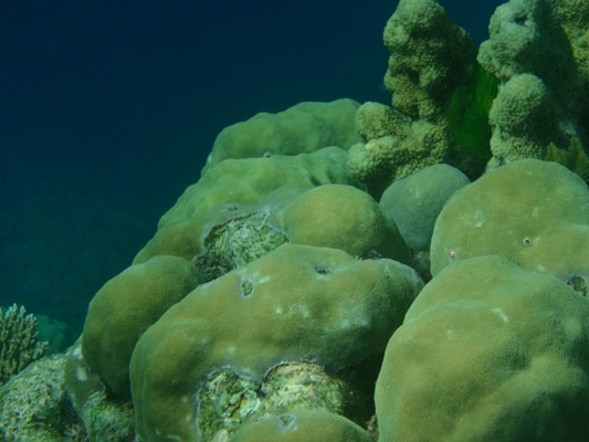 [20100515--F 276[2].jpg]