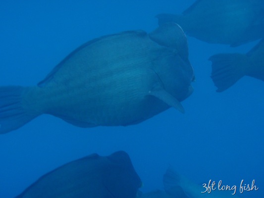 [20100515--F 189[8].jpg]