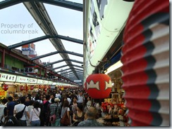 The usual crowd that invades the Asakusa 