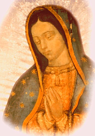 [Doncella de Guadalupe, Madre del Verdadero Dios por quien se vive[6].jpg]