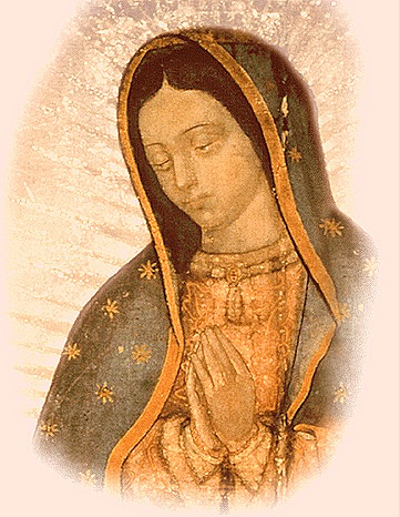 [Doncella de Guadalupe, Madre del Verdadero Dios por quien se vive[20].jpg]