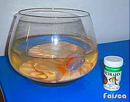 [clip_image00273.jpg]