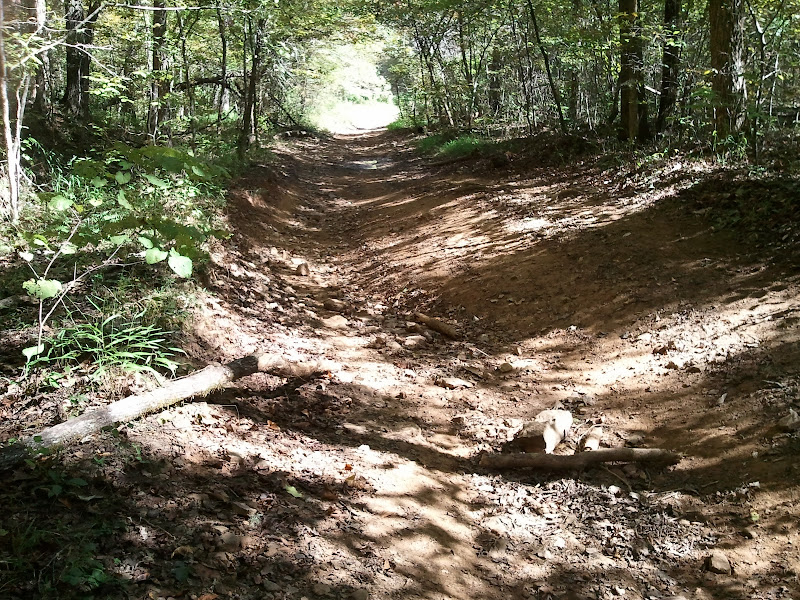 2010-10-05%2011.29.54.jpg