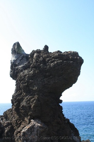 [[39]_Cachorro[3].jpg]